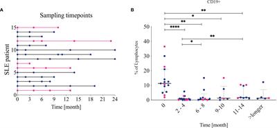 Rituximab in Systemic Lupus Erythematosus: Transient Effects on Autoimmunity Associated Lymphocyte Phenotypes and Implications for Immunogenicity